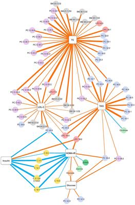 Distinct patterns of personalised dietary advice delivered by a metabotype framework similarly improve dietary quality and metabolic health parameters: secondary analysis of a randomised controlled trial